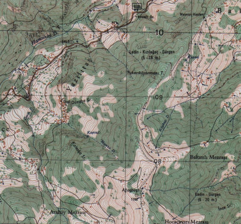 Bu haritalar genellikle ormancılık konusunda eğitimsiz olan astsubaylar tarafından üretiliyor.