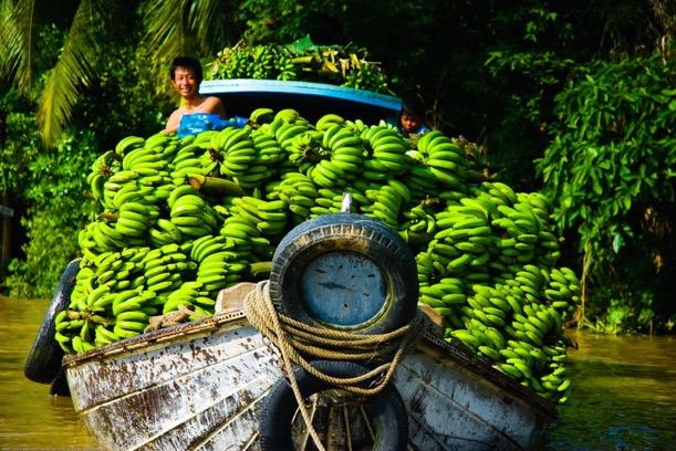 Mekong Nehri nin kolları arasında palmiyeler arasındaki köyleri ziyaret edip, egzotik meyvelerin tadına bakıp