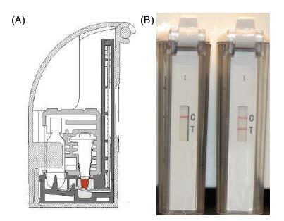 Stand-Alone Sistemler ; XCP nucleic acid detection device (Ustar Biotechnologies)/BESt Cassette (BioHelix) Amplifikasyon ürününü lateral flow