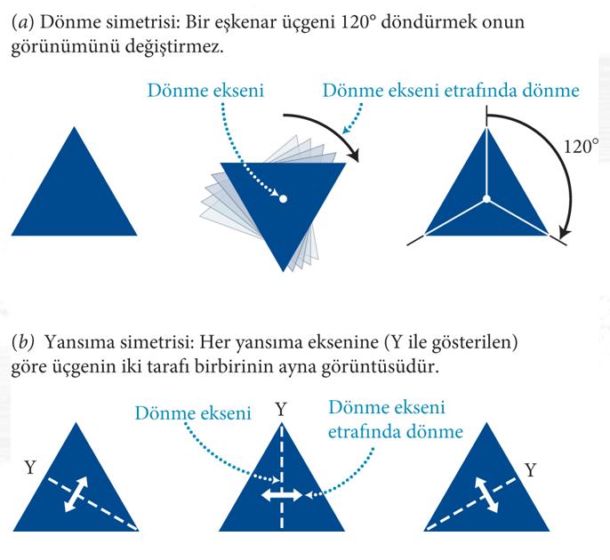 1. 2 Simetri Evrenin her yasasının temel gereksinimlerinden birisi fizikçilerin simetri adını verdiği ve genellikle düzen, güzellik ve ahenk ile