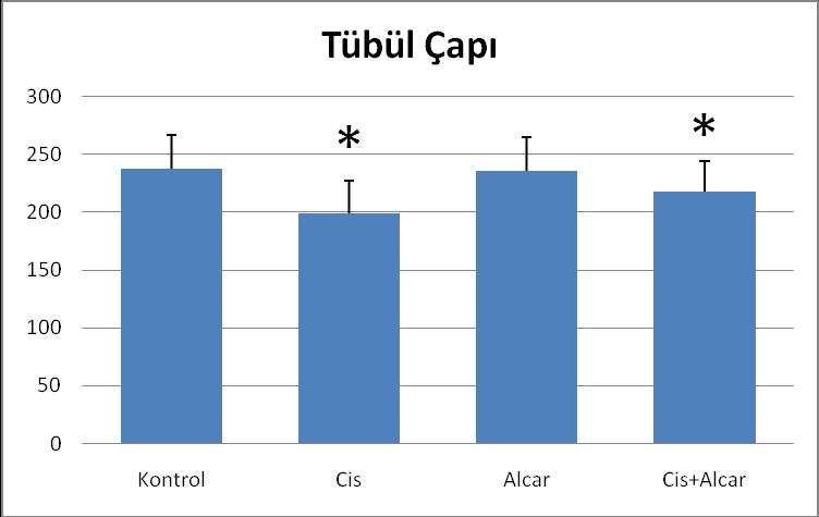 Grafik 1: Deneklerin deney baģlangıcı ve deney sonu ağırlıkları 300 250 200 150 100 50 0 Sıçan Ağırlıkları Kontrol L-carnitin Cisplatin L- carnitin+cisplatin Başlangıç 235,5 239 259,6 257,33 Son