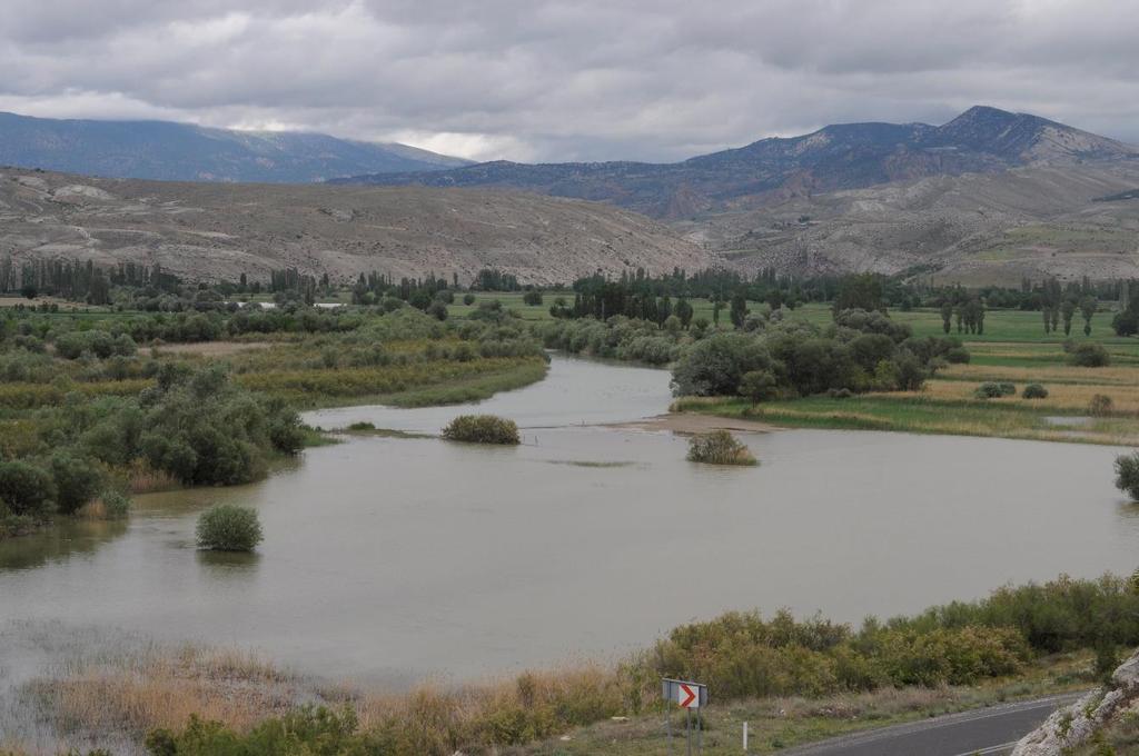 5.3. Habitat Dinamizmi Çalışma alanı habitatını doğrudan etkileyen iki önemli etken vardır. Birincisi alanın su dinamizmi ikincisi ise vejetasyon dinamizmidir. 5.3.1.