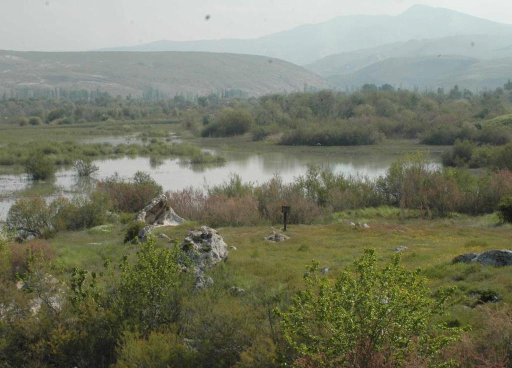 2.3. Üreme Kolonisinin Bulunduğu Alan Nallıhan Kuş Cenneti bitki coğrafyası bakımından, İran-Turan fitocoğrafik bölgesine girmektedir.