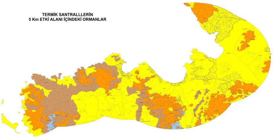 Aliağa Bölgesi orman mühendisliği alanı ile ilgili değerlendirme yapılması amacı ile Foça Yarımadası nın kuzey kıyılarını esas alan bir hat üzerinden 5 km, 10 km ve 20 km mesafelerdeki ormanların