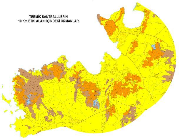 Bu ormanların yerleri ve özelliklerini gösterir harita aşağıdadır: 10 km sınırlar içinde kalan ormanlar için tasarlanan fonksiyon