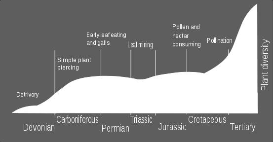 (co-evolution) > 400 mya Image