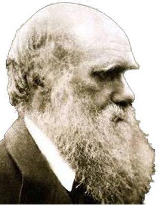 Charles Darwin, parazitik böcekleri ile ilgili düşünceleri vardı.