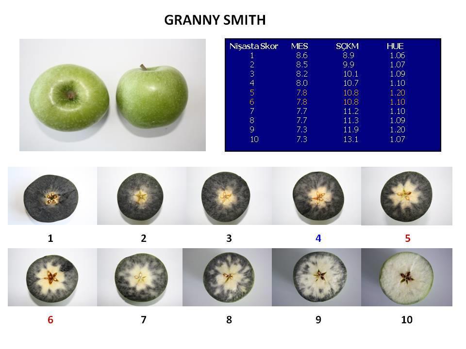 Şekil 3. Bayramiç yöresinde yetiştirilen Granny Smith elma çeşidinde meyve eti sertliği, toplam suda erir madde ve nişasta dağılımı özellikleri açısından farklı hasat olgunluğu evreleri. 4.