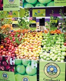 2006 Süpermarkette yeni bir ticari model: CarrefourSA Expres Hızlı ve yakın alışveriş 2003 Doğa Tat Carrefour Gıda güvenliğinde öncü doğaya saygılı