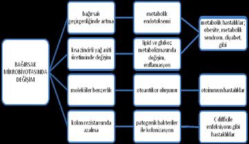 Çetinbaş A. Mikrobiyata rindeki ortamdan gelen bir mikroorganizma havuzuyla kolayca kolonize edilmektedirler (4).