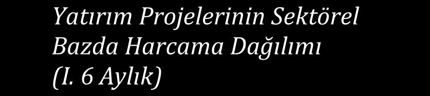 Harcama Dağılımı (I.