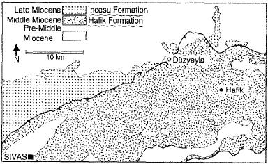 DİNÇARSLAN, SUATA ALPASLAN Çalışma alanı Sivas ilinin kuzeydoğusundaki Düzyayla (Hafik) ve çevresidir (Şekil 1). Bu yörede Orta- Geç Miyosen yaşlı birimler, iki ayrı formasyonla temsil edilir.