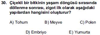 10 EVDE KİMYA Temizlik Maddelerinin Özellik Veişlevlerini