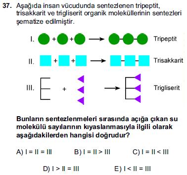 Canlıların Yapısını Oluşturan Başlıca Kimyasal Maddeleri Tanır Ve Sınıflandırır 2.