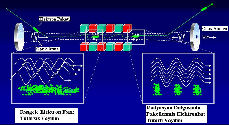 adlandırılan bu ışıma, iki ayna arasında depolanır. Sonradan magnete giren elektron paketçikleri ile etkileşime girer.