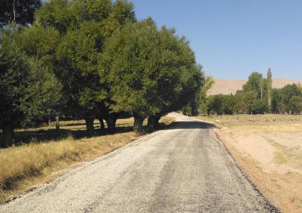 Gökçek Mahalleleri yolunda 2 km