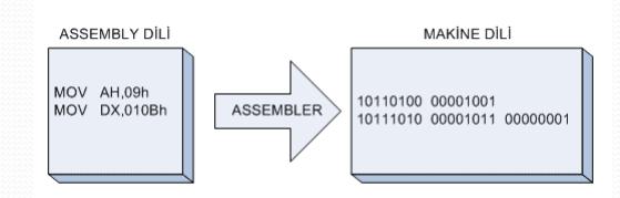 Assembly Devam!