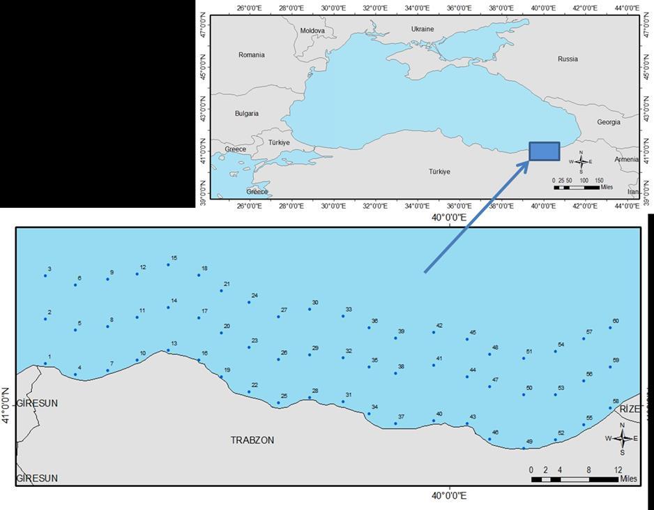 3. MATERYAL ve METOT 3.1. Araştırma Bölgesi, Planı ve Araştırma Gemisi Proje, Trabzon kıyılarında 01.01.2011-31.12.2013 tarihleri arasında R/V Sürat AraĢtırma- 1 gemisi ile gerçekleģtirilmiģtir.