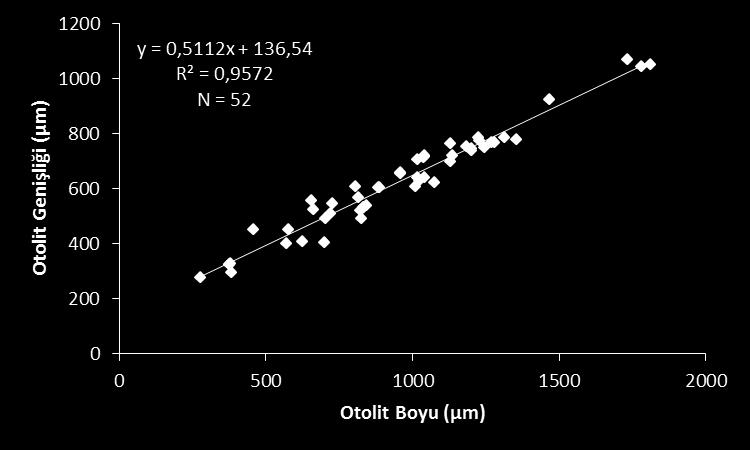 Şekil 28. Ġstavrit genç bireylerinde otolit boyu otolit geniģliği arasındaki iliģki 4.5. Ergin Birey 4.5.1. Boy-frekans dağılımı Aylık olarak ölçümü yapılan ve 0.