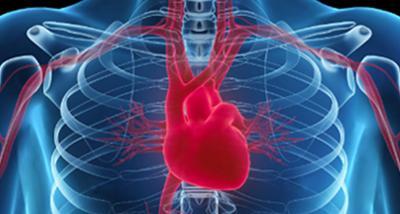 Kardiyovasküler Monitorizasyon Elektrokardiyografi (EKG, ECG) Bir anestezi teknikerinin meslek hayatında en yoğun şekilde maruz kalacağı parametrelerden biri de EKG