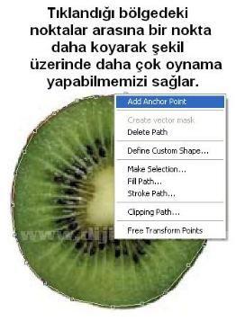 Delete Path : Çizdiğimiz yolu siler.