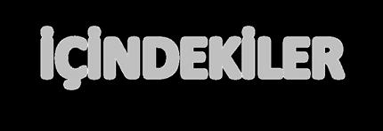 İÇİNDEKİLER 1. de Problem Çözümünde İzlenilecek Adımlar 2. Matematiksel Modelleme 3. de Hata Kavramı 4. de Hataların Sebepleri 5.