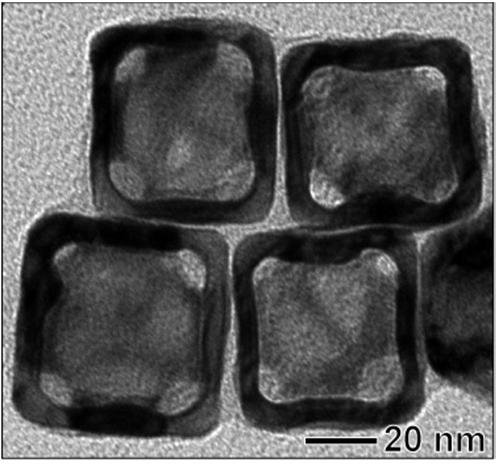 Nanomalzemelerin Fizyopatolojik Etkileri Doğal Nanomalzeme? Üretilmiş Nanomalzeme?