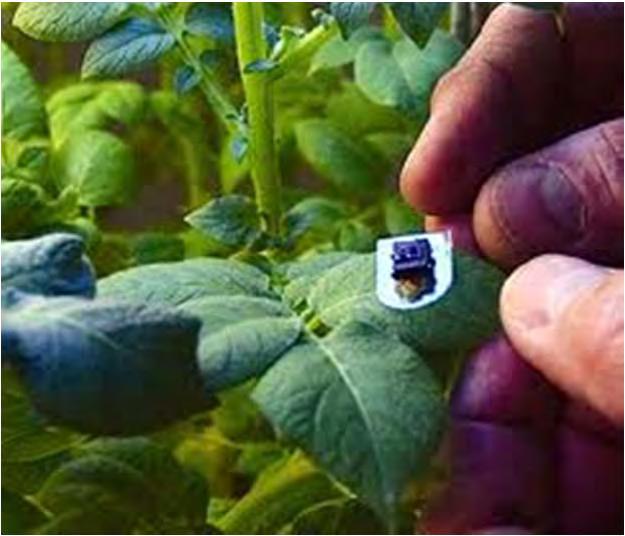 Gıda ve Tarım Sektöründe Nanoteknoloji Uygulamalarının Avantajları Sosyal Yüksek teknolojili tarımsal üretime olanak vermesi Üretimin objektif kriterlerle denetlenmesi Gıda kalitesi ve güvenliğinin