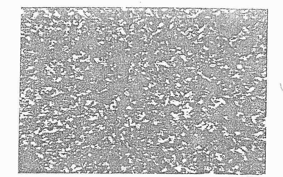 Şekil 2.34: Bakır Ftalosiyanine ait 70 o C de polarize ışık altında gözlenen mezofaz Tablo 1 de, 1-7 bileşiklerine ait DSC termogramlarından elde edilen geçiş sıcaklıkları gözlenmektedir.