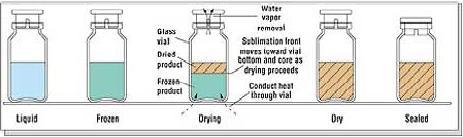 Liyofilizasyon Süreci Liyofilizasyon çözücünün (genellikle su) süblimasyon ile uzaklaştırılmasına