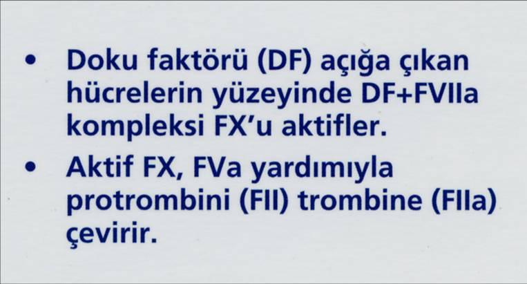 PIHTILAŞMADA YENİ MODEL (Hücreye dayalı hemostaz) Günümüzde, koagülasyonun ekstrinsik