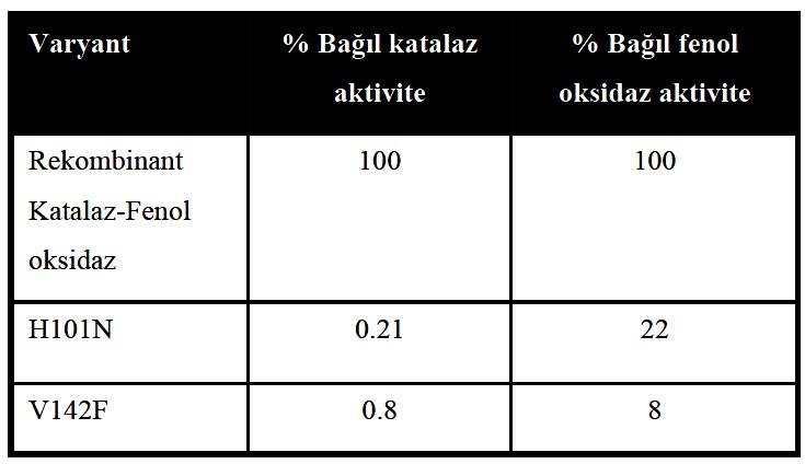 Bağıl aktivitelerin karşılaştırılması Rekombinant enzim ve iki