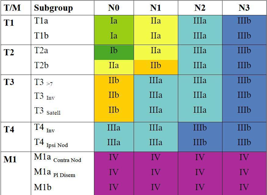 Toraks dışı uzak organ metastazı M1b olarak değerlendirildi. Tablo 5. TNM Evrelemesi Yapılan TNM evrelemesi son yıllara kadar KHDAK ile ilişkili idi.