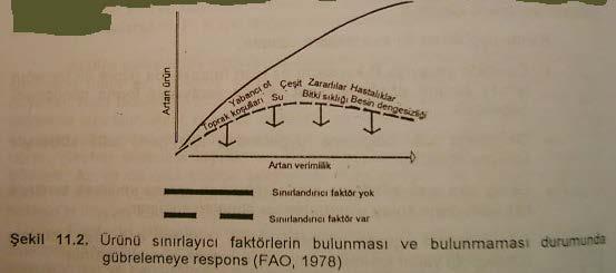 Gübre uygulamasına ürün ve kalite olarak bitkinin responsu