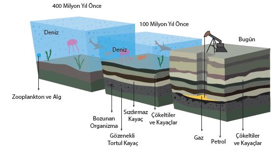 PETROLÜN OLUŞUMU Bir fosil yakıt olarak ham petrol, yer altındaki jeolojik katmanlarda oluşur.