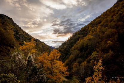 ARTVİN İN DOĞAL BİTKİLERİ Hatila Vadisi Milli Parkı: Artvin İli, Fıstıklı Köyünde, Hatilla Deresinin Borçka Barajına döküldüğü yerden (170 m) başlayarak Kurt Dağına (3224 m) uzanır.