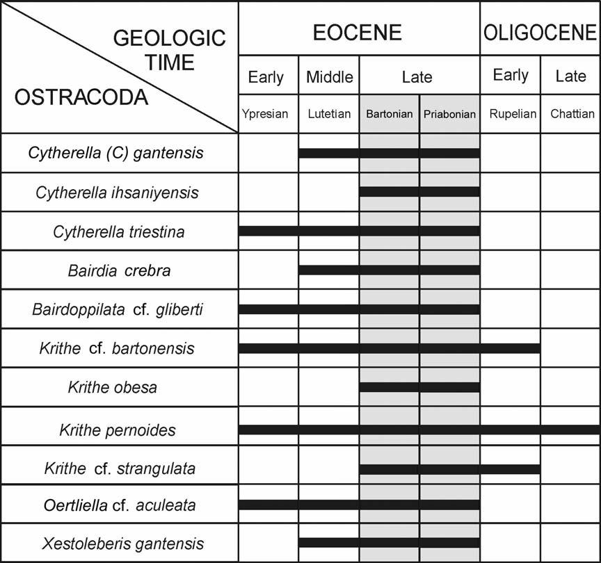 Nazan YEŞİLYURT, Cemal TUNOĞLU and İbrahim K. ERTEKİN suggests the Bartonian-Priabonian stages (Figure 12). Late Lutetian is indicated by the planktonic foraminifer association.
