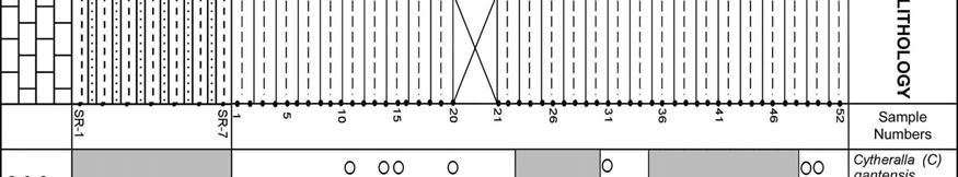 Figure 6. Ostracod association and distribution in the GC-1 Type section. Şekil 6. GC-1 Tip kesitindeki ostrakod birlikteliği ve dağılımı.