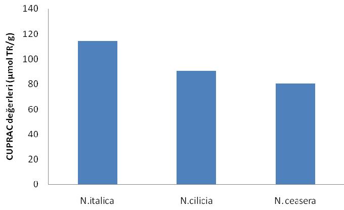 Şekil 2. Ekstraktların CUPRAC değerleri (µmol TR/g ekstrakt) 4. SONUÇ Sonuç olarak çalışmada tüm ekstraktların DPPH radikali temizleme yeteneğine sahip olduğu ve N.