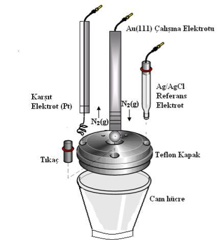 3. MATERYAL VE YÖNTEM 3.1. Materyaller 3.1.1. Elektrokimyasal Hücreler Elektrik ak yard ile kimyasal dönü ümlerin sa land elektron al veri ine dayanan i lemler, elektrokimyasal hücrelerde gerçekle tirilir.