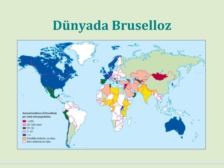 Şekil 1: Dünya genelinde insan Bruselloz insidansı* *Pappas, G, P Papadimitriou, N Akritidis, L