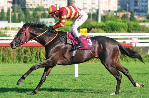 Lily Of The Valley 5y dk Haafhd - Enhance / Entrepreneur Sahibi / yetifltiricisi: brahim Arac Jokeyi: Halis Karatafl 4.