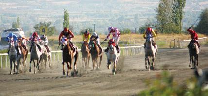 fianl urfa pistinde bu sezon 3 birincilik, Elaz da 1 birincilik elde eden Kaanefe son olarak Adana da 1400 metre kumda bir koflu kazanm flt.