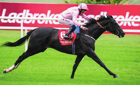 IRISH CHAMPION STAKES THE FUGUE 2013 Irish Champion Stakes 4 yafll The Fugue taraf ndan kazan ld. Yar fl ilk s rada götüren Trading Leather bu durumunu viraja kadar tafl yarak düzlü ü önde döndü.