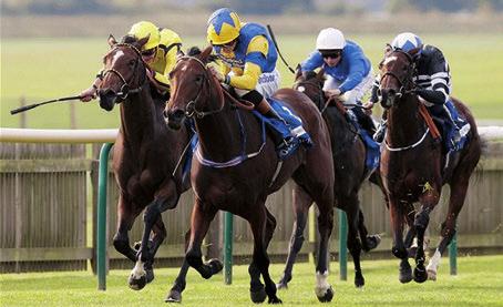 PRIX VERMEILLE TREVE FRANKIE DETTORI / TREVE Frans z K srak Koflusu Prix De Diane galibi geçilmez Treve, diflilerin L Arc de Triomphe denemesi diyebilece imiz Prix Vermeille de de geçilmezli ini