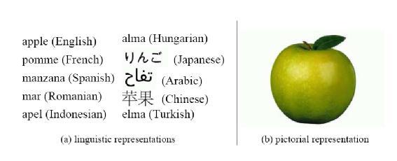 57 a) farklı dillerde gösterimi b) resimsel gösterimi Şekil 2.30. Elmanın Görsel ve Farklı Dillerde Gösterimi (Kaynak: Leong, C.W., Eng, B., 2006) 2.7. Görme ve Algılama 2.7.1.