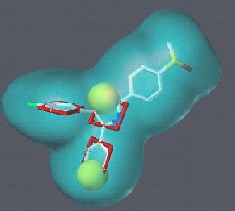 Eli Lilly Drug Target