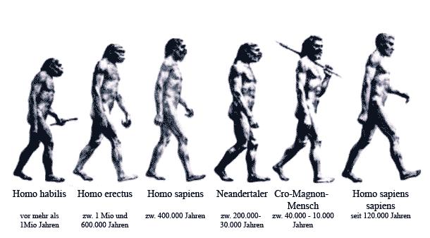 Modern insan, Cro-Magnon lardan yaklaşık 10.