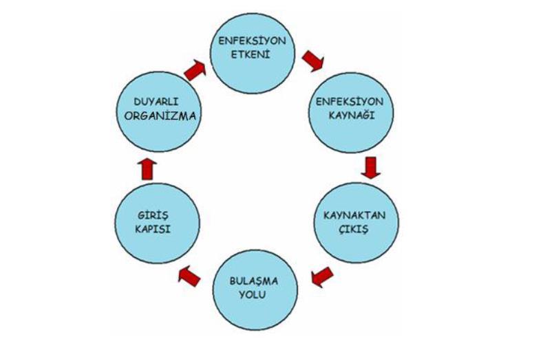 Enfeksiyon Zinciri Hiçbir hastalık belirtisi göstermeksizin enfeksiyonu taşıyan insanlara Portör denir. Gizli kaynak olarak da adlandırılırlar.