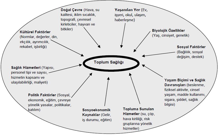 Halk Sağlığını Etkileyen Faktörler Kaynak: Şimşek, Z. (2013).